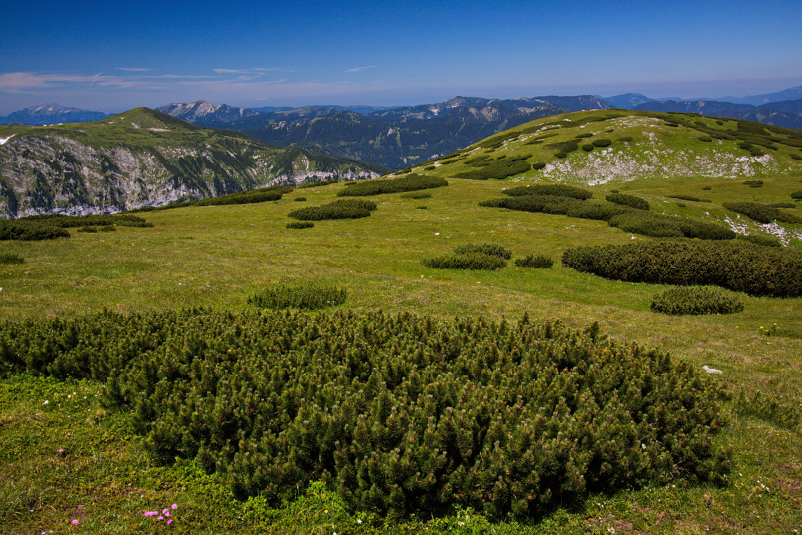 An image depicting the trail Altenberg - Klimawandeln and its surrounding area.