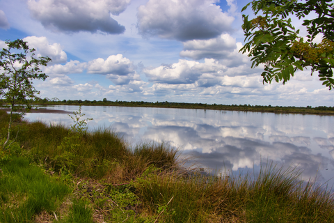 Bergerveen Loop via Huenen Weg and Trage - Tocht Weiteveen