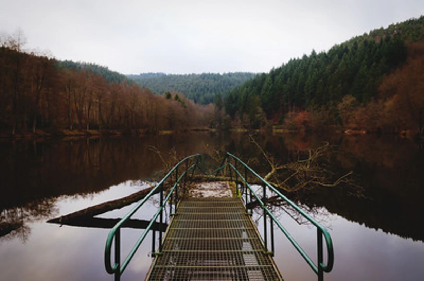An image depicting the trail Kaiserhammer Weiher and Meilenbach Loop and its surrounding area.