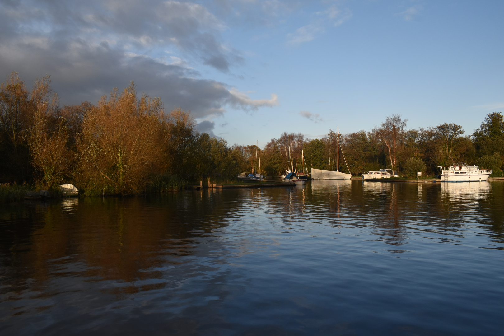 An image depicting the trail Irstead Staithe Walk and its surrounding area.