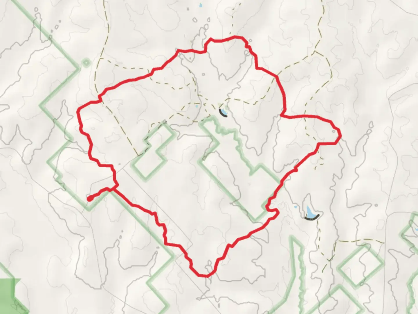 An image depicting the trail Four Notch Trail and Lone Star Hiking Loop Trail and its surrounding area.