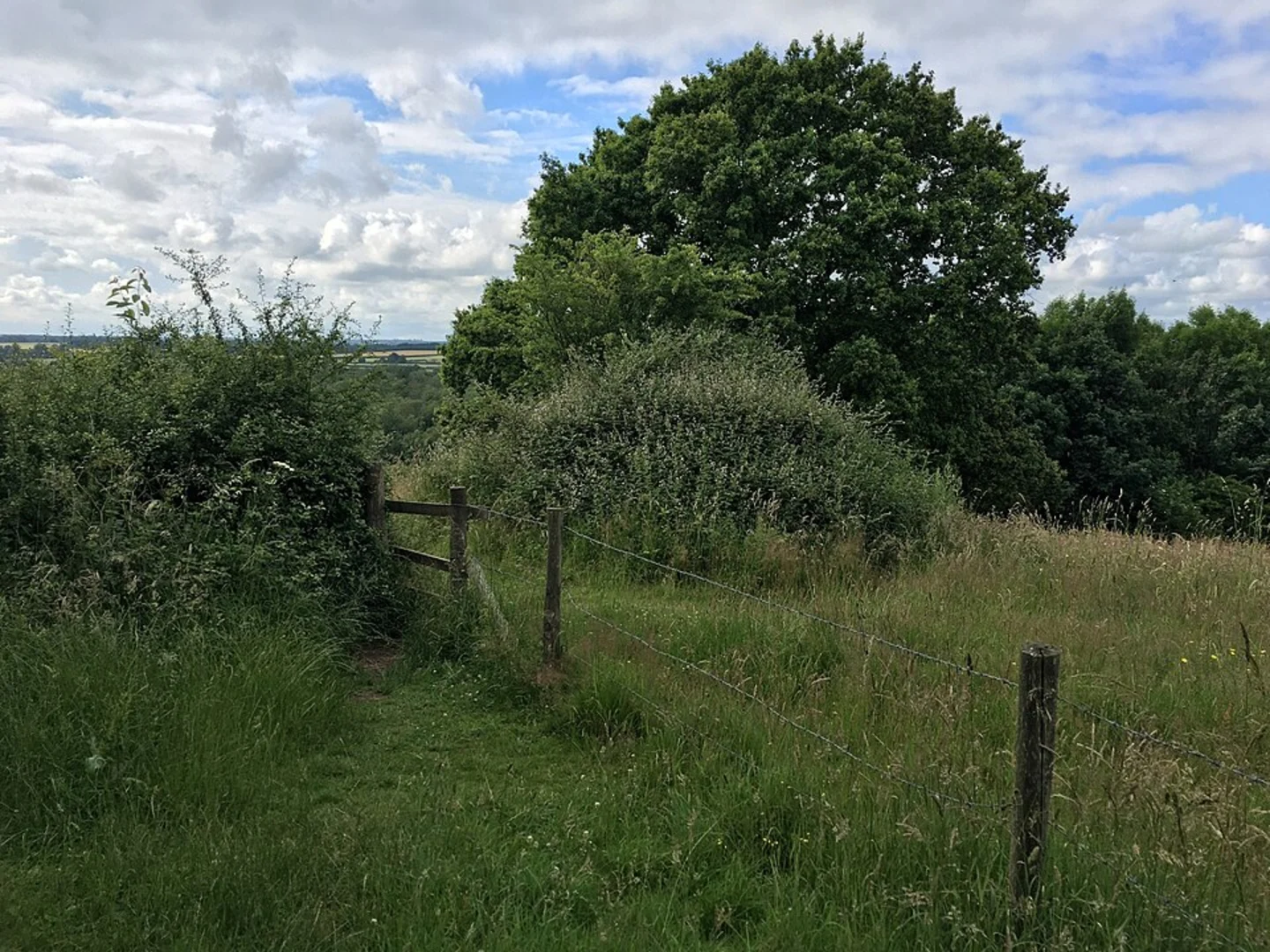 An image depicting the trail Mason's Copse Loop from Kintbury and its surrounding area.