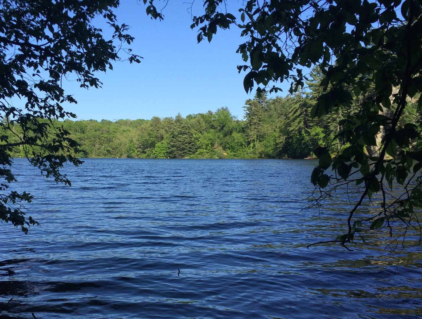 An image depicting the trail Mill Creek Loop Trail and its surrounding area.