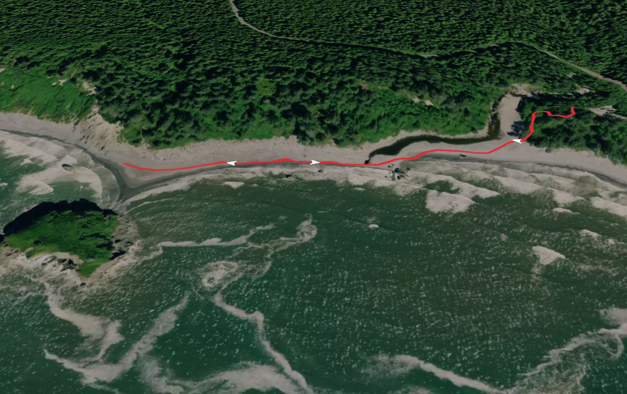 North Kalaloch Beach