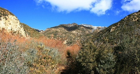 An image depicting the trail Potrero John Trail and its surrounding area.