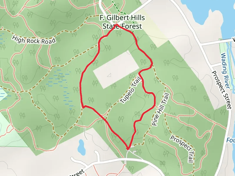 F Gilbert Hills State Forest - Tupelo Trail