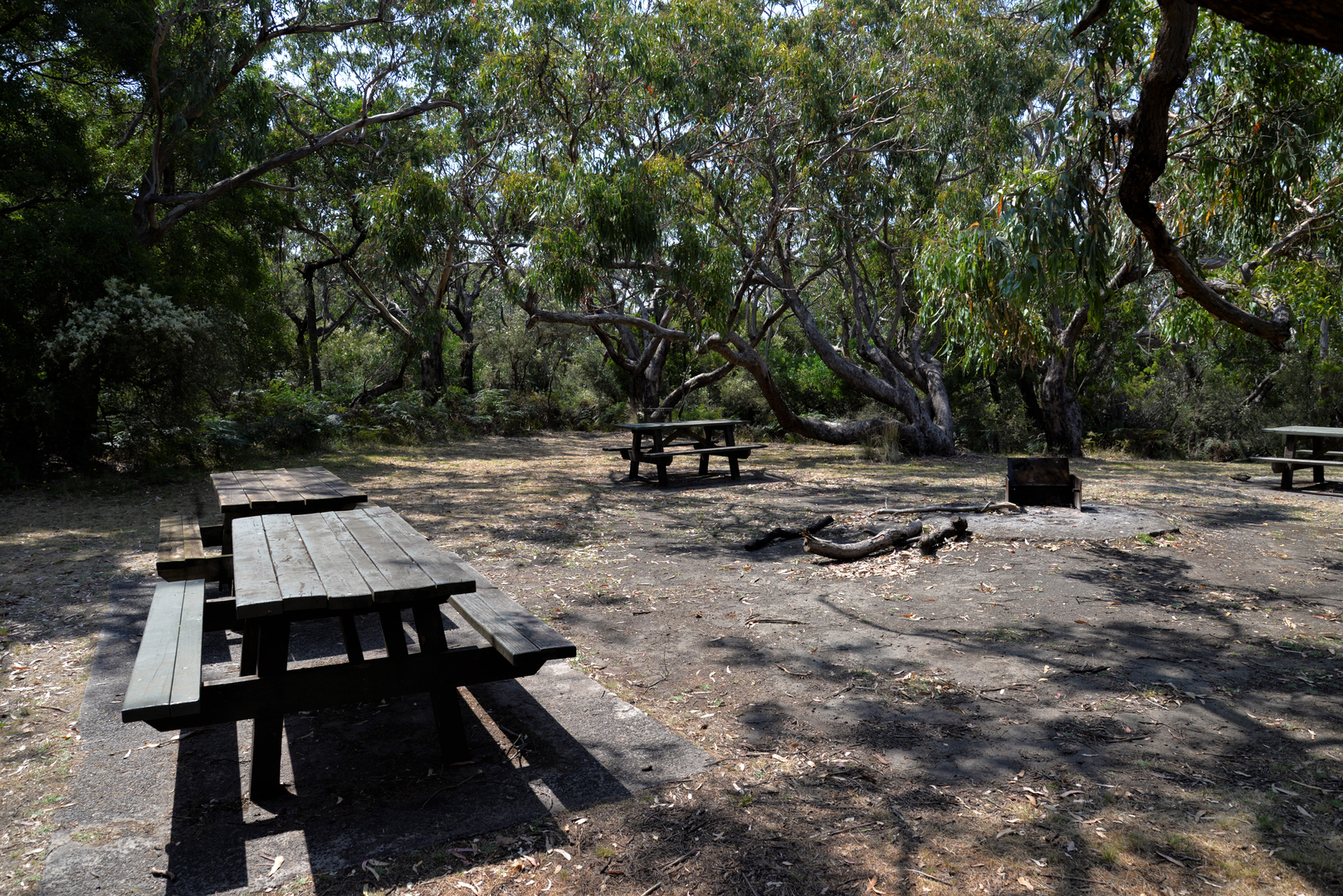 An image depicting the trail Great South West Walk and its surrounding area.