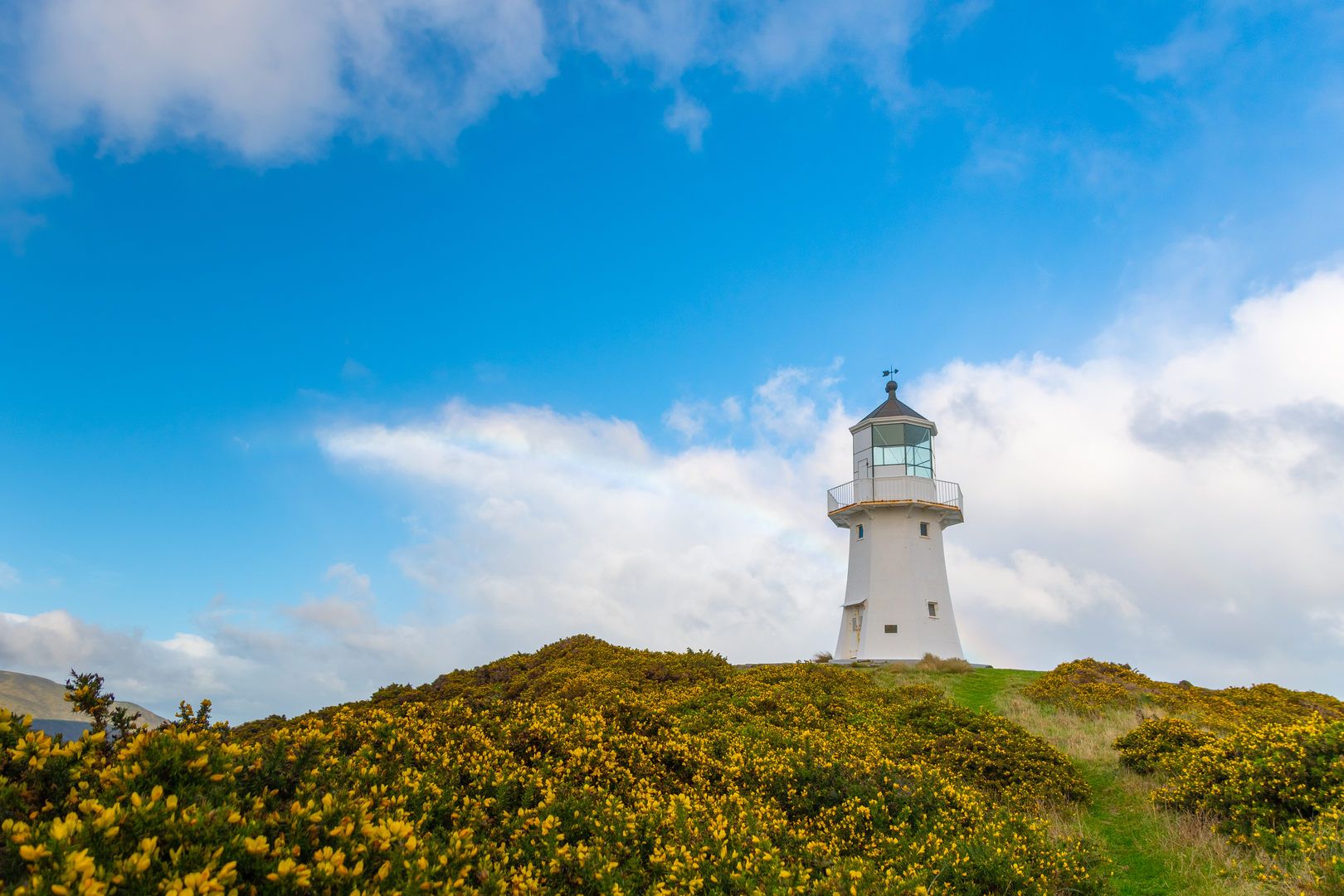 An image depicting the trail Pencarrow Head Lighthouse Trail and its surrounding area.