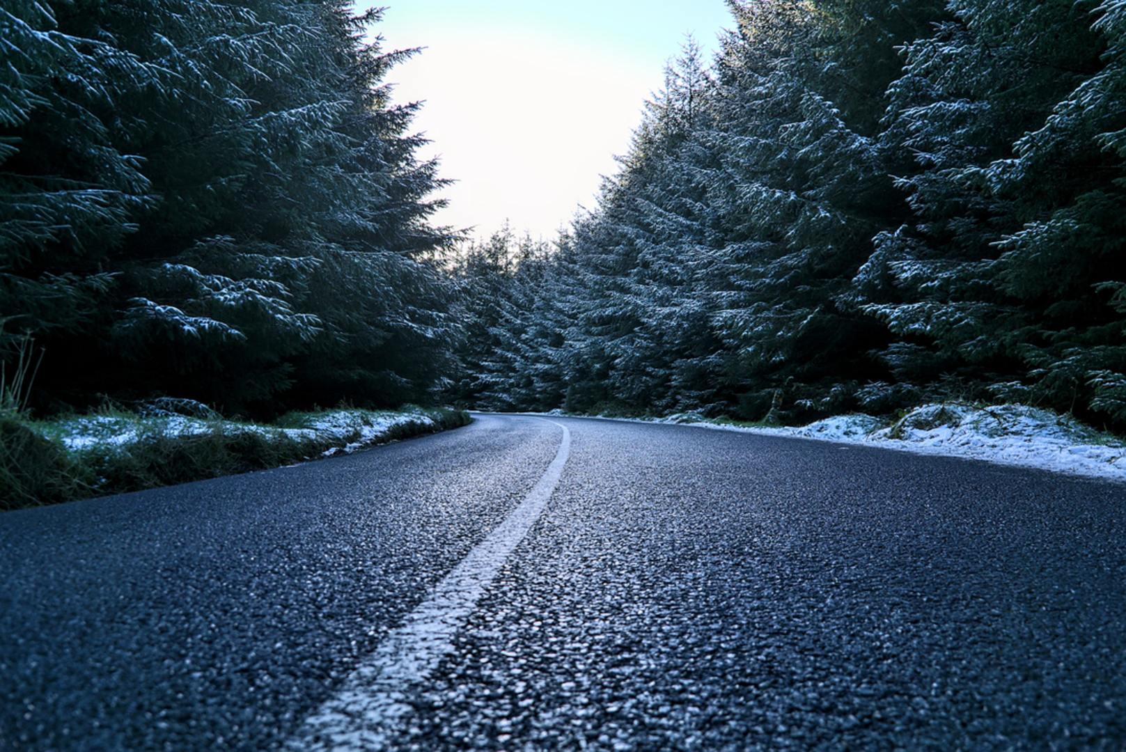 An image depicting the trail Run The Line Long Course 2022 and its surrounding area.