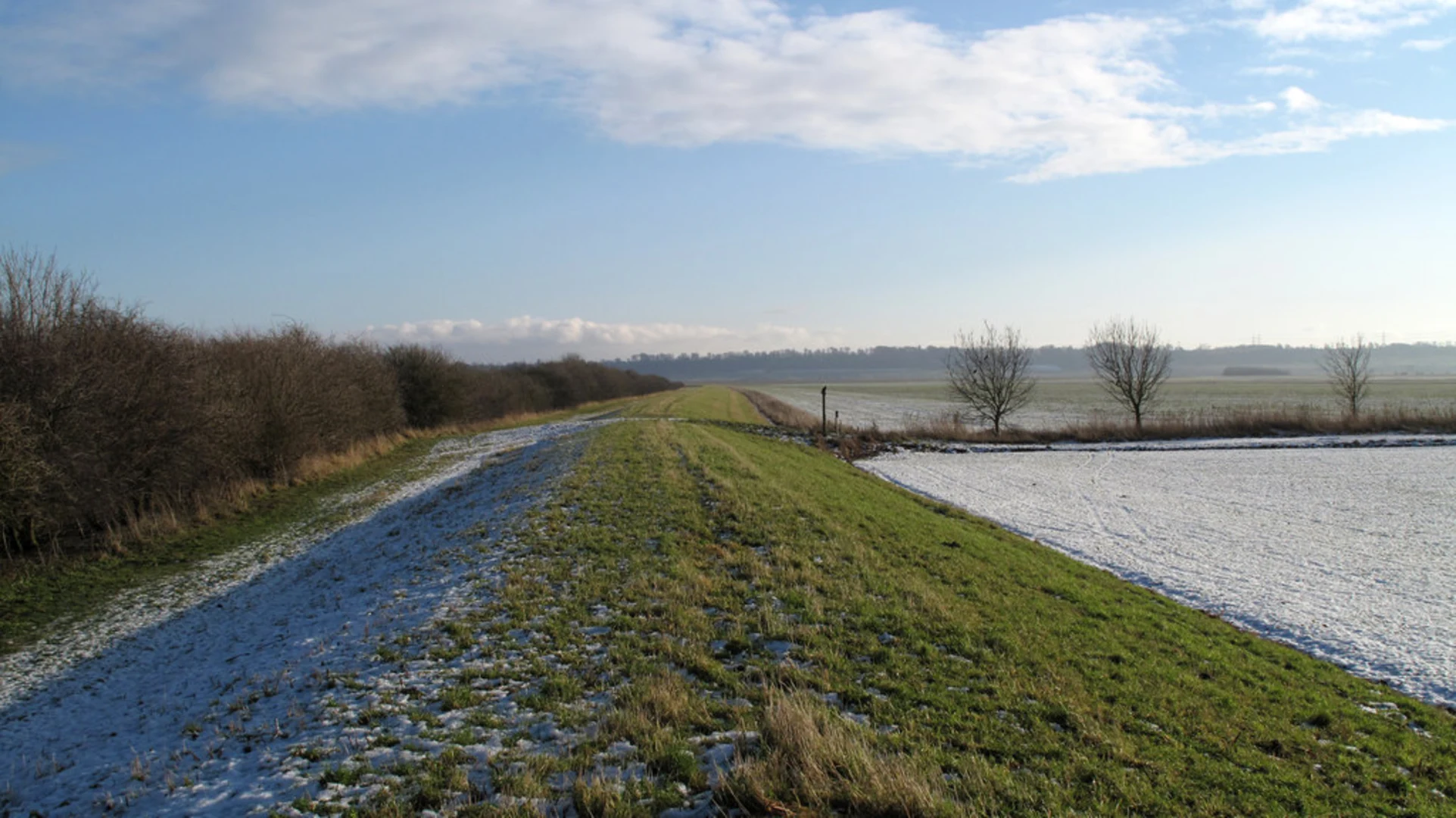 An image depicting the trail Blacktoft Sands Loop and its surrounding area.
