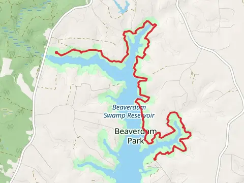 Beaverdam Swamp Reservoir Side Walk