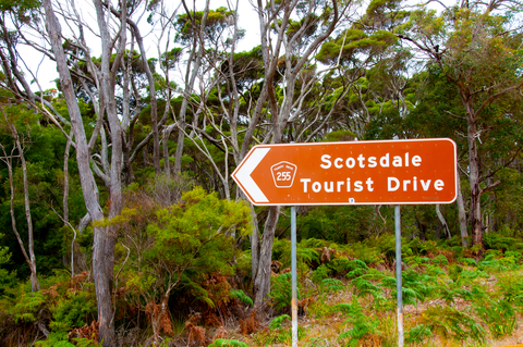 An image depicting the trail Harewood Forest Walk and its surrounding area.