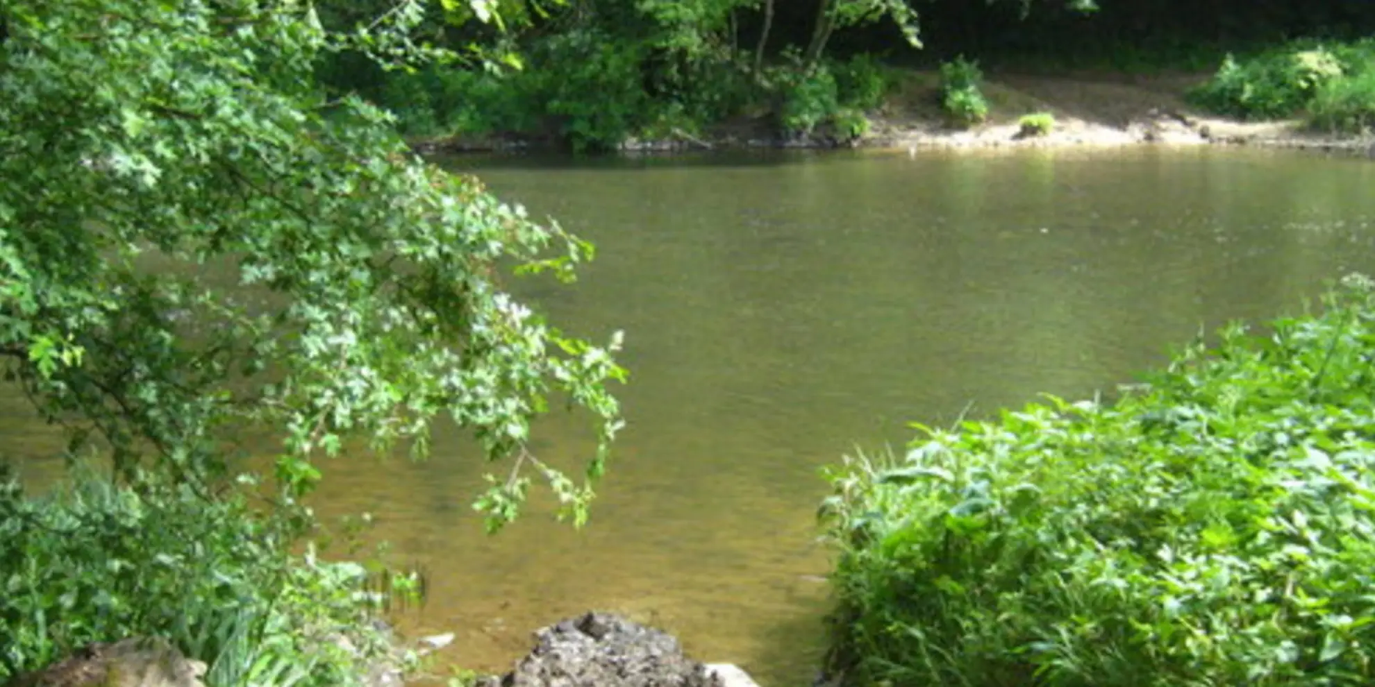 An image depicting the trail Luckett Hill via Tamar Valley Discovery Trail and its surrounding area.