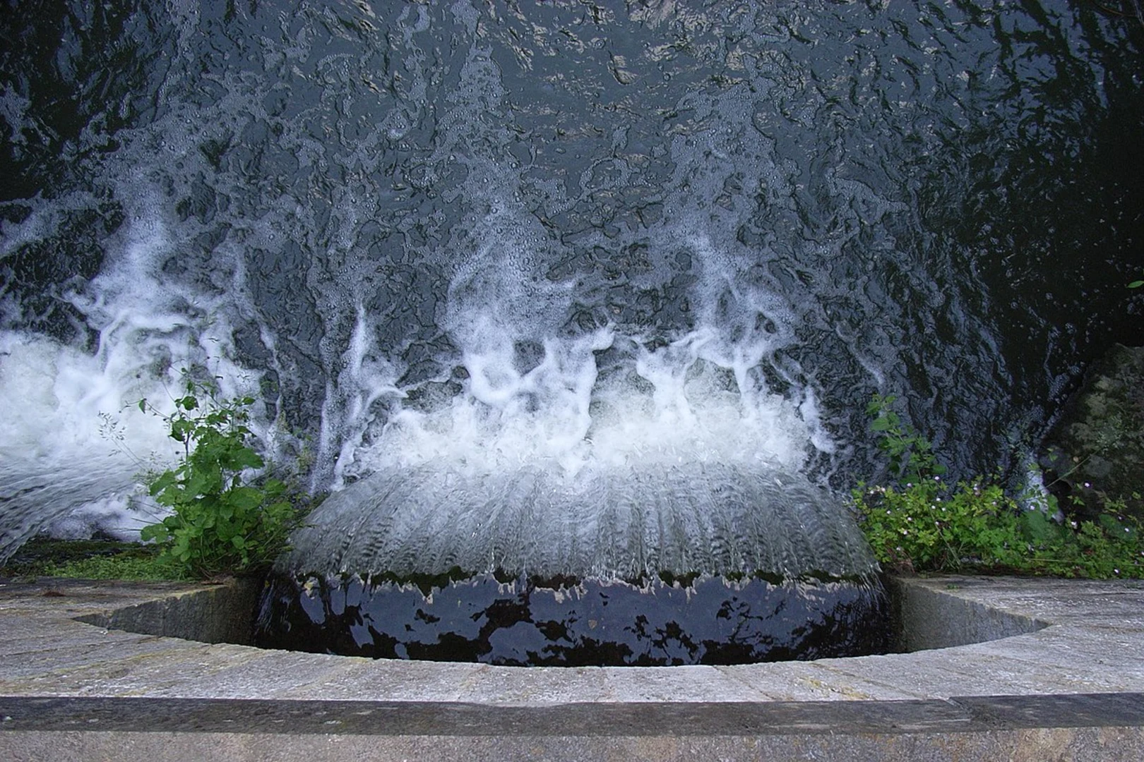 An image depicting the trail Wesser-Lutter Weg and its surrounding area.