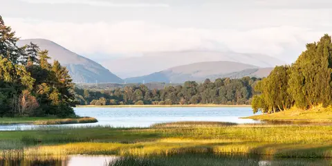 An image depicting the trail Isla Way and its surrounding area.