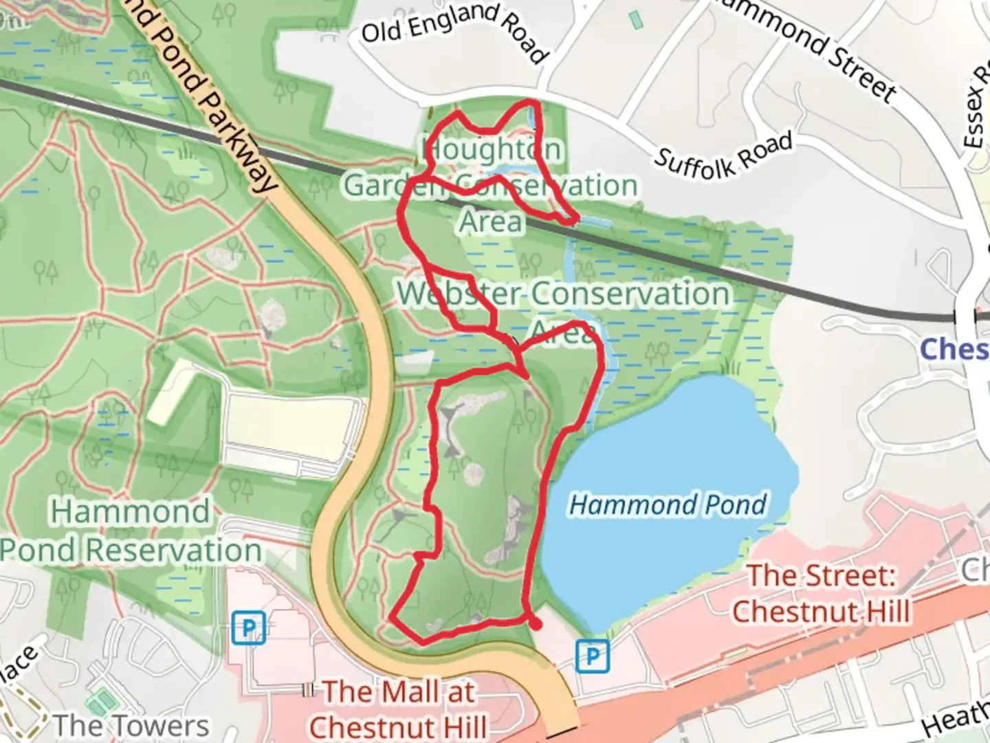 An image depicting the trail Blue Trail and Houghton Pond Loop via Hammond Pond and its surrounding area.