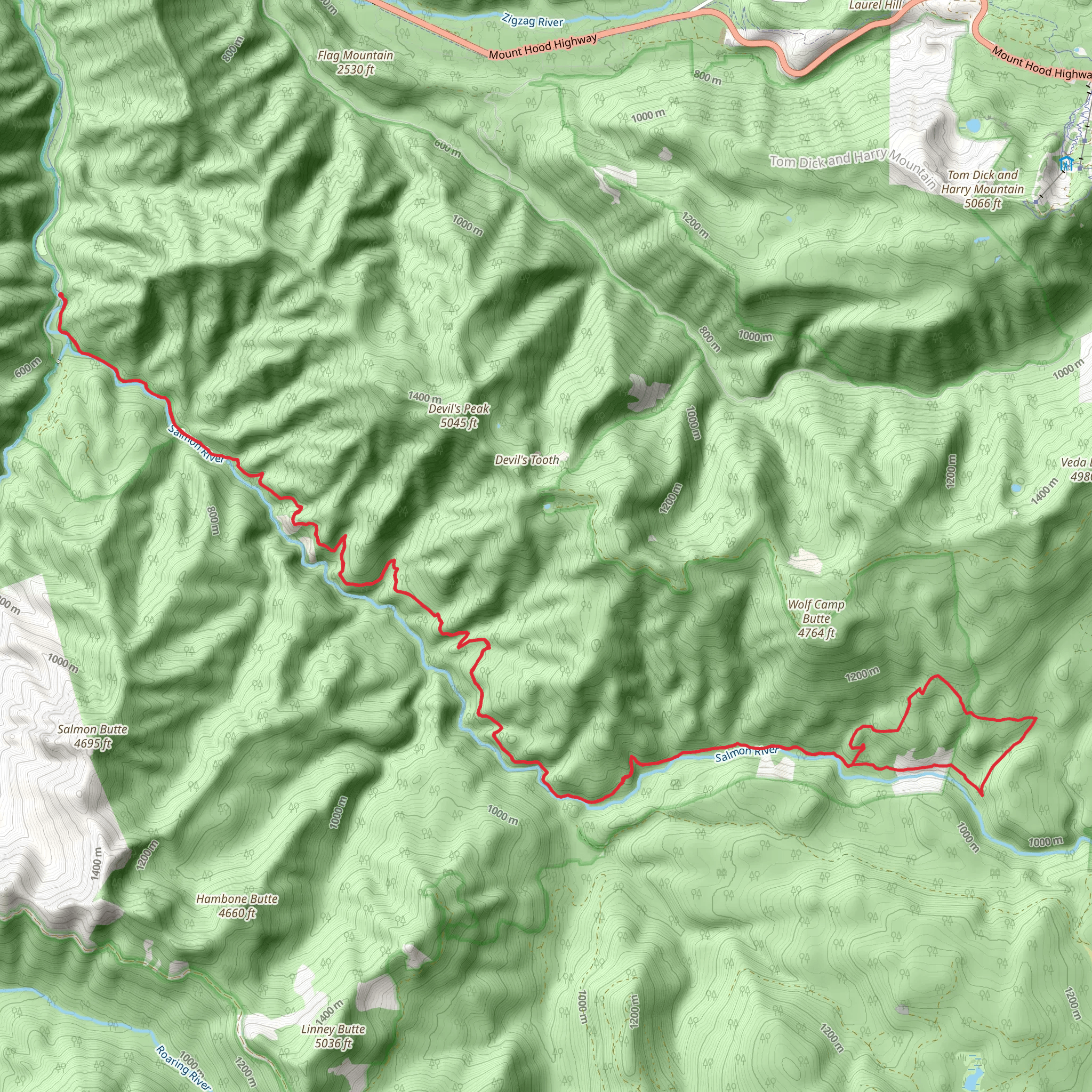 Salmon River Trail Loop mobile static map