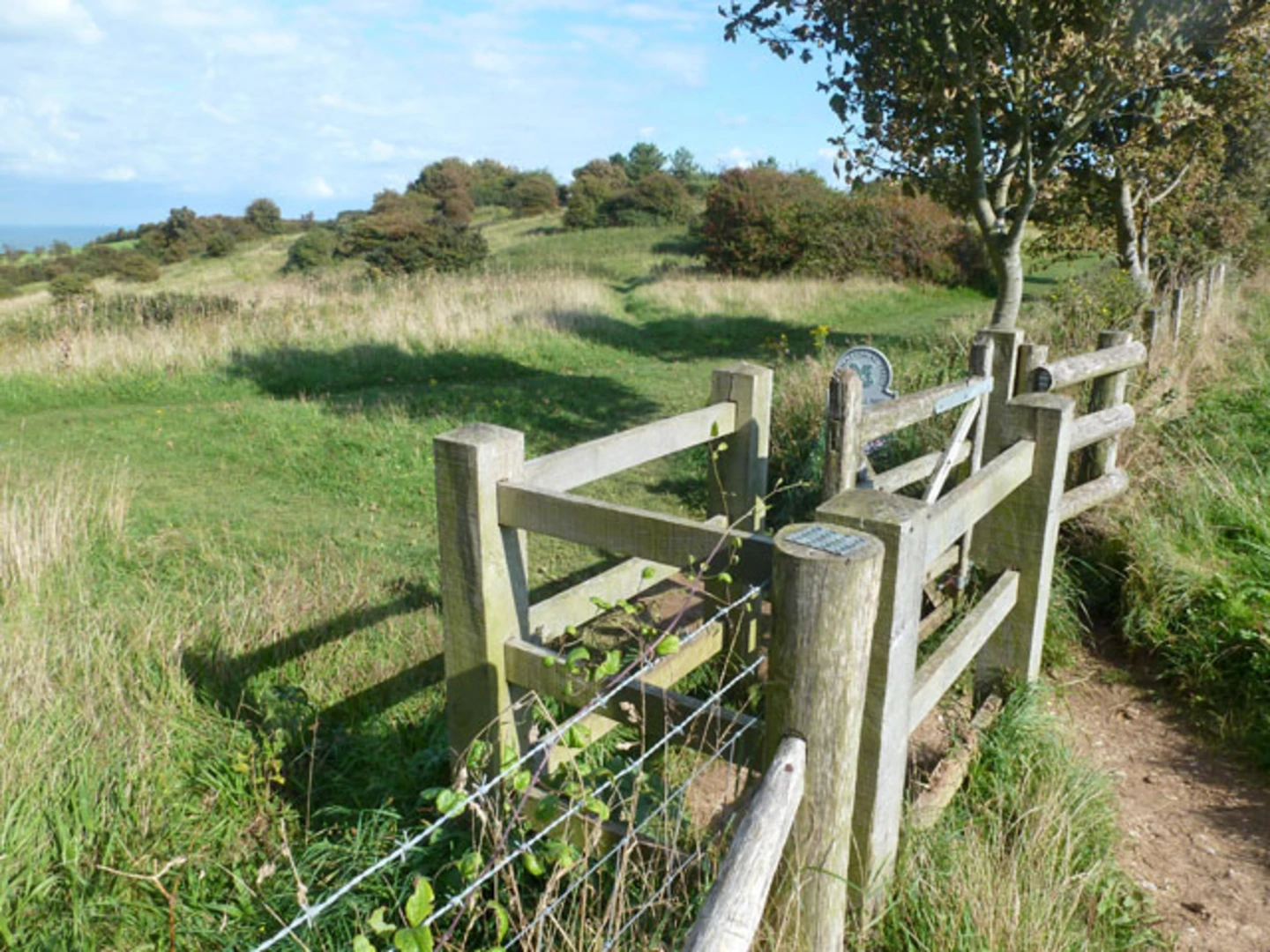 An image depicting the trail St Margaret's at Cliffe Loop and its surrounding area.