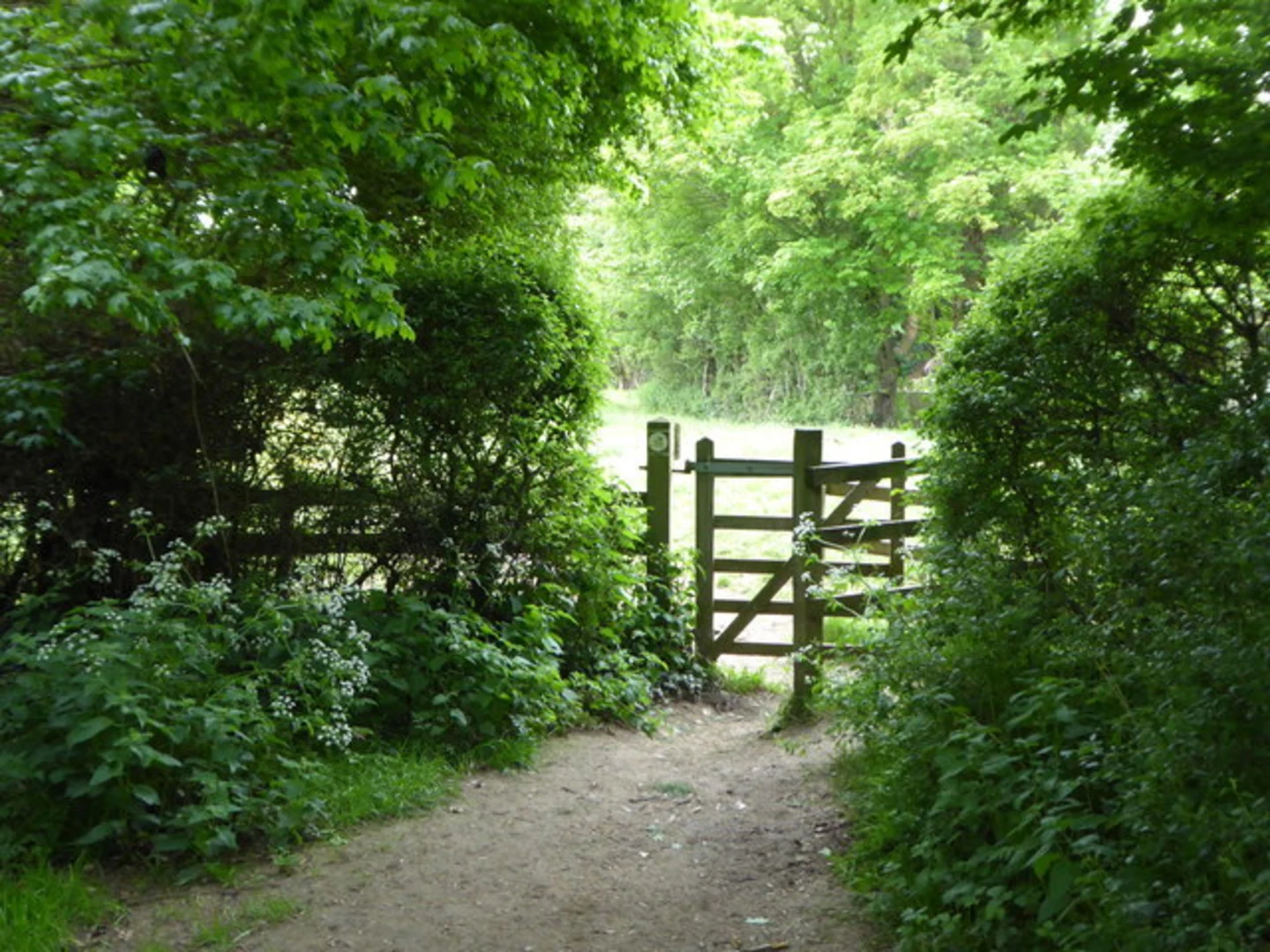 An image depicting the trail Winchcombe to Langley Hill and Wood Carving and its surrounding area.
