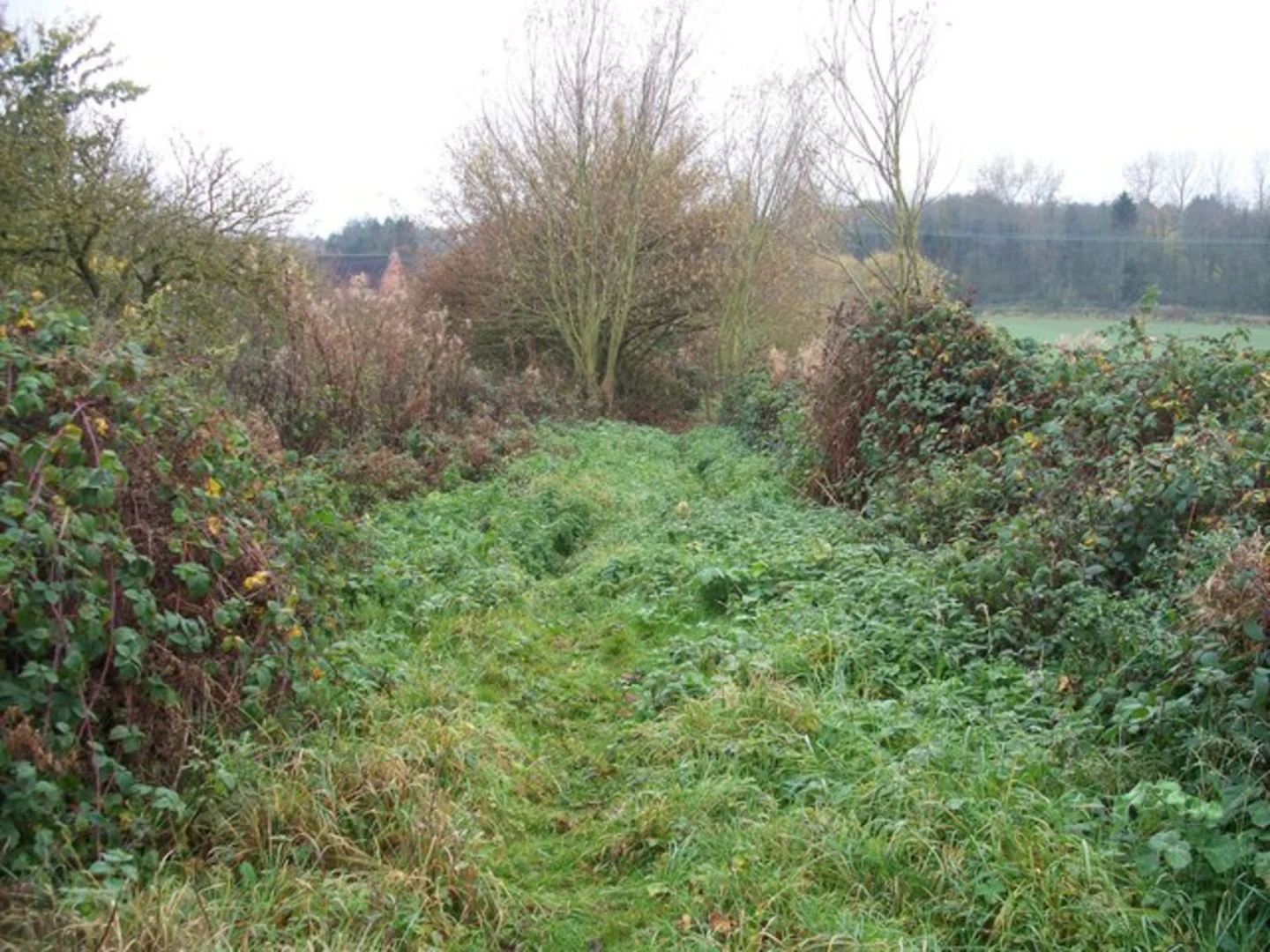 An image depicting the trail Moreton in Marsh to Ebrington Walk and its surrounding area.