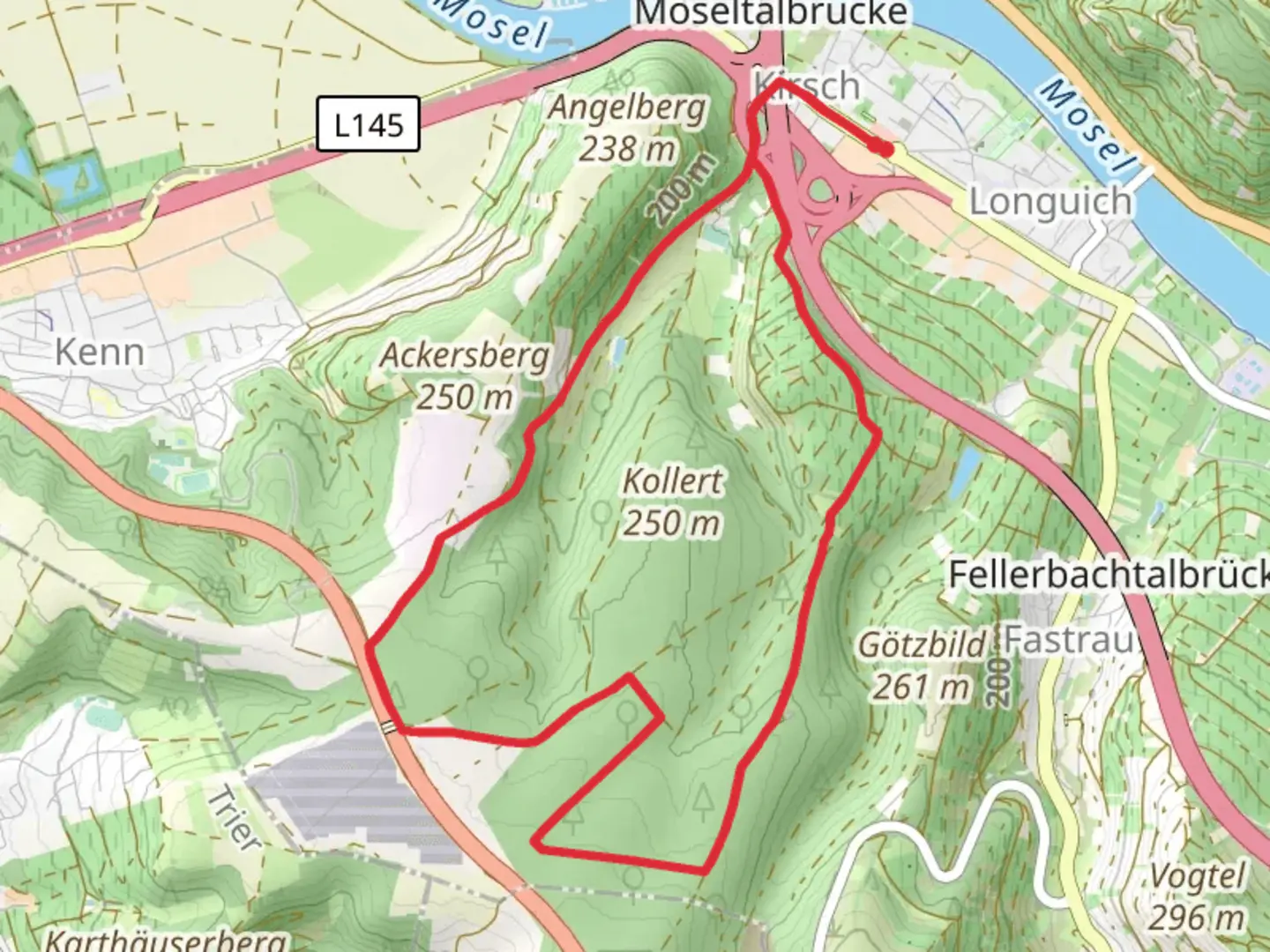 An image depicting the trail Longuicher Wald Loop and its surrounding area.