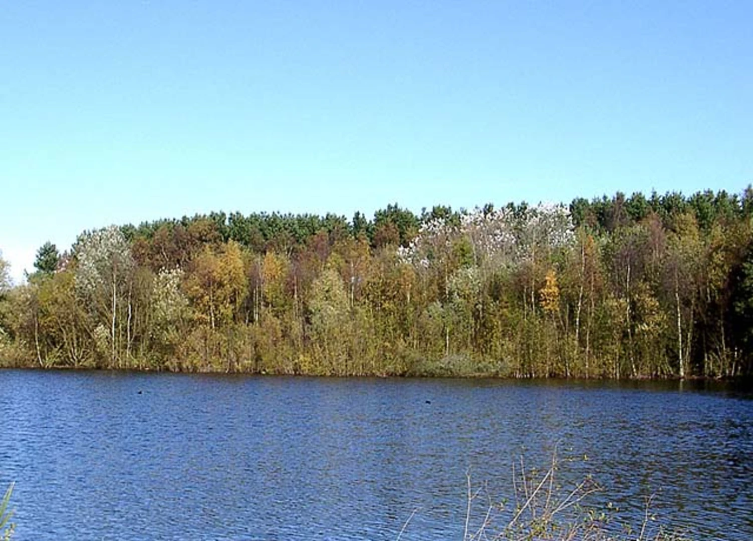 An image depicting the trail Marton Sands Loop and its surrounding area.