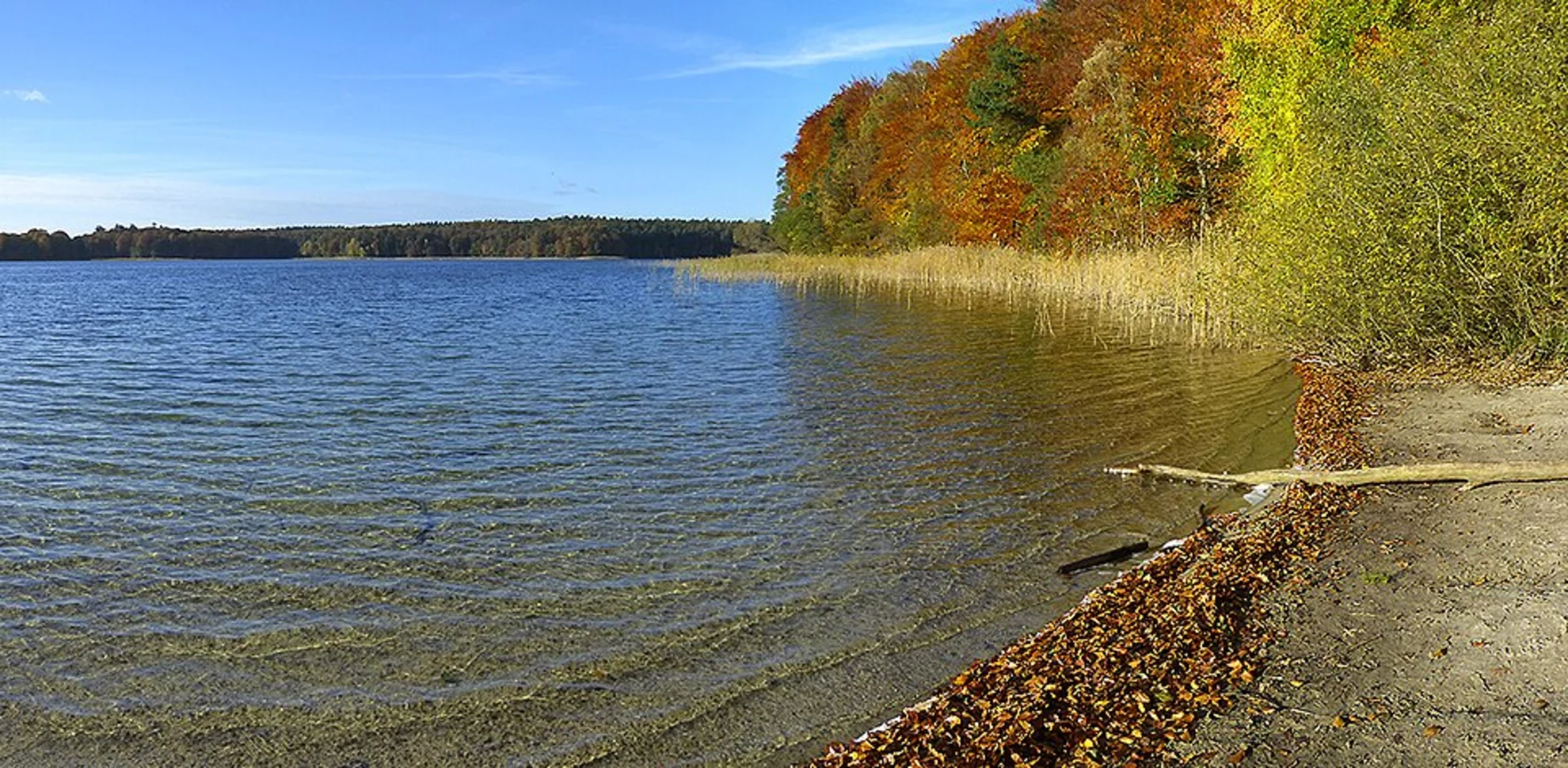 An image depicting the trail Grosser Wummsee Loop via Wummsee Rundwanderweg and its surrounding area.