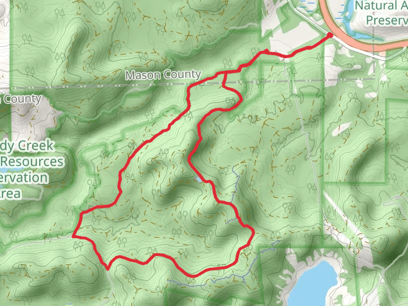 Kennedy Creek Salmon Trail