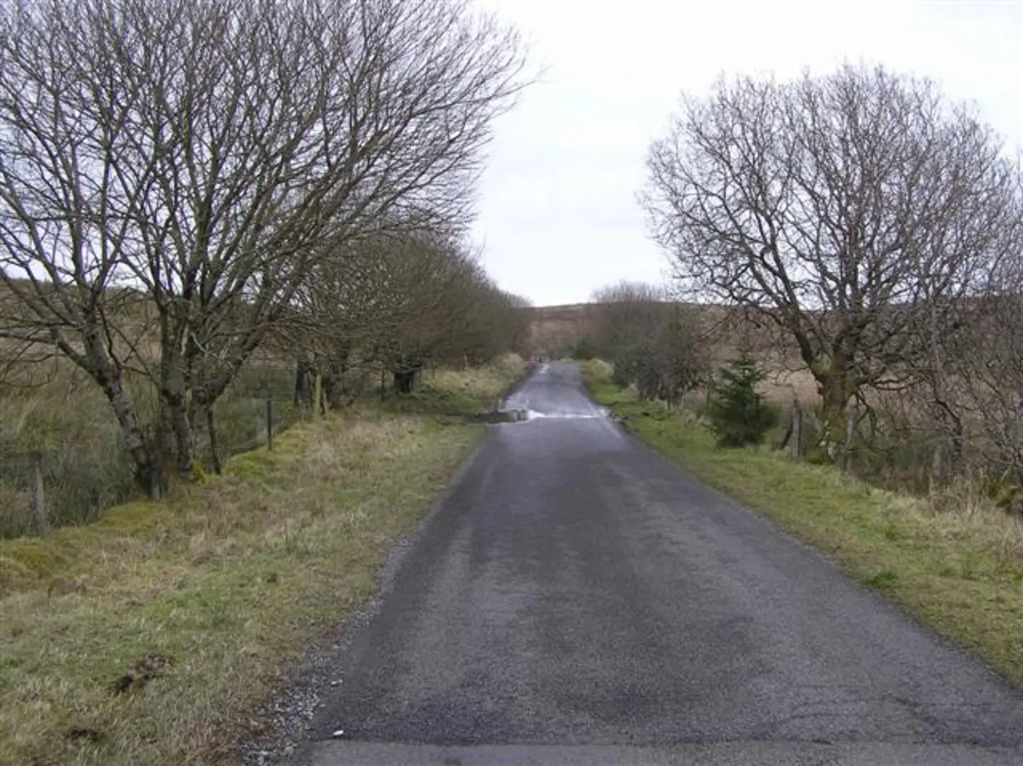 An image depicting the trail Carrigan Forest – Lough Formal Walk and its surrounding area.