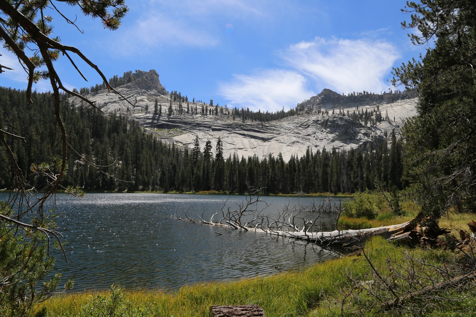 An image depicting the trail Weaver Lake and Jennie Lake via Big Meadows Trail and its surrounding area.
