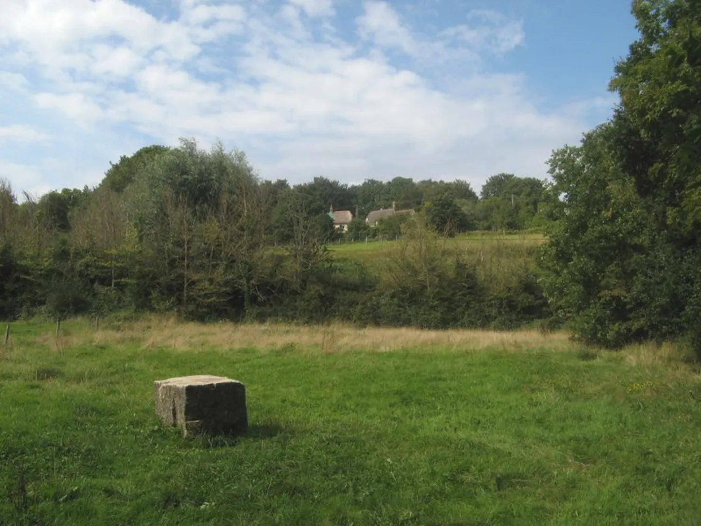An image depicting the trail Sturminster Marshall Walk and its surrounding area.
