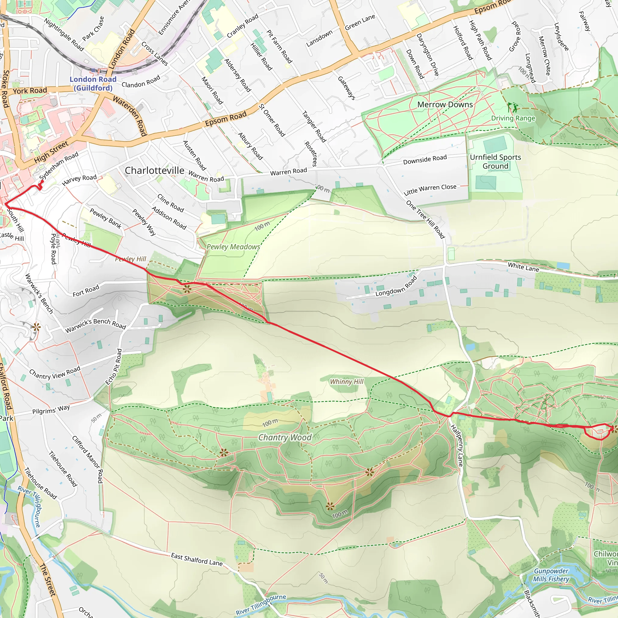 Pewley Down and St Matha's Hill Walk mobile static map