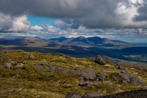 Grange Loops - Molly Loop