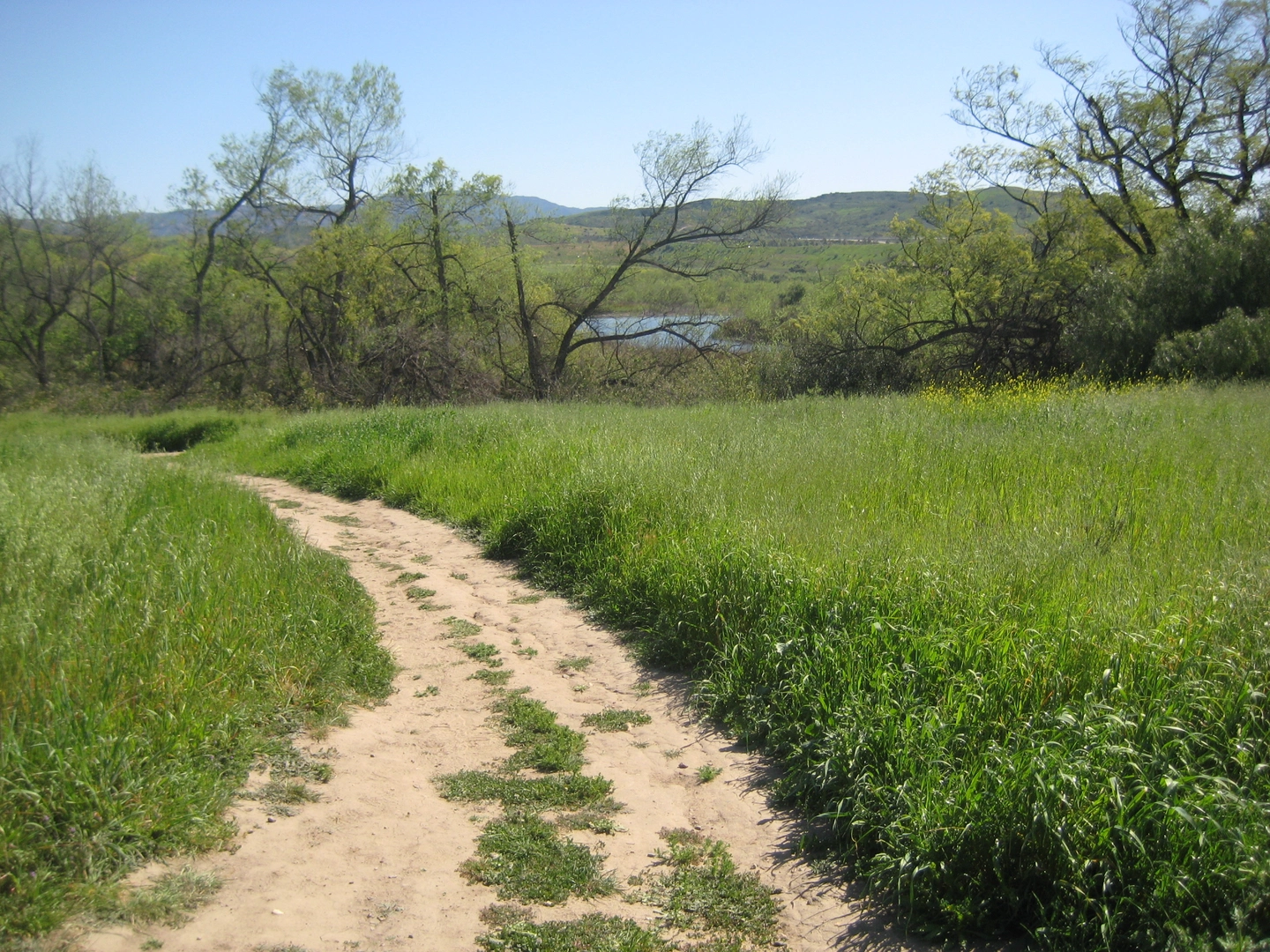 An image depicting the trail Lower Peters Canyon Reservoir Loop Trail and its surrounding area.