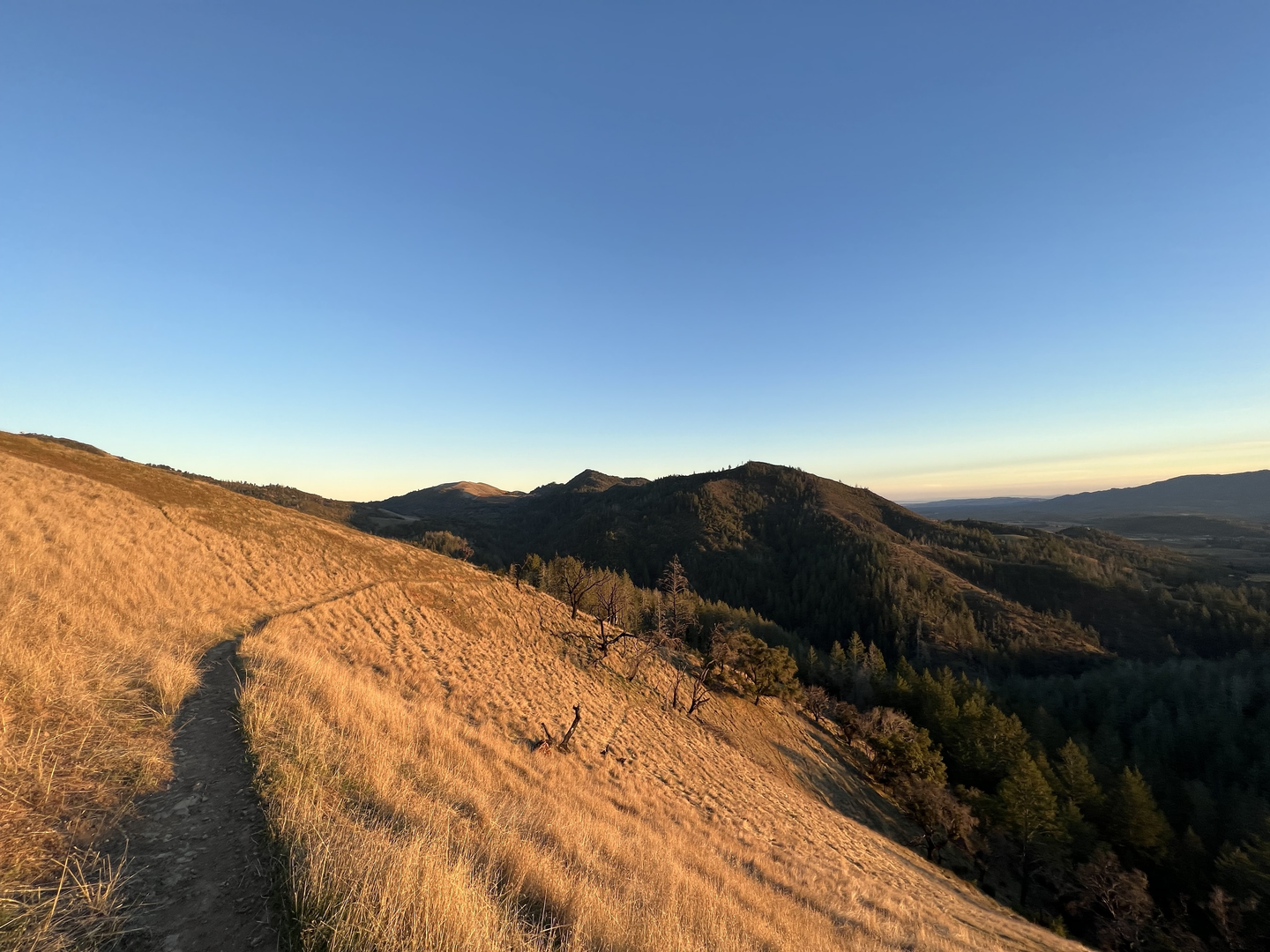 An image depicting the trail Brushy Peaks and Bald Mountain Loop and its surrounding area.