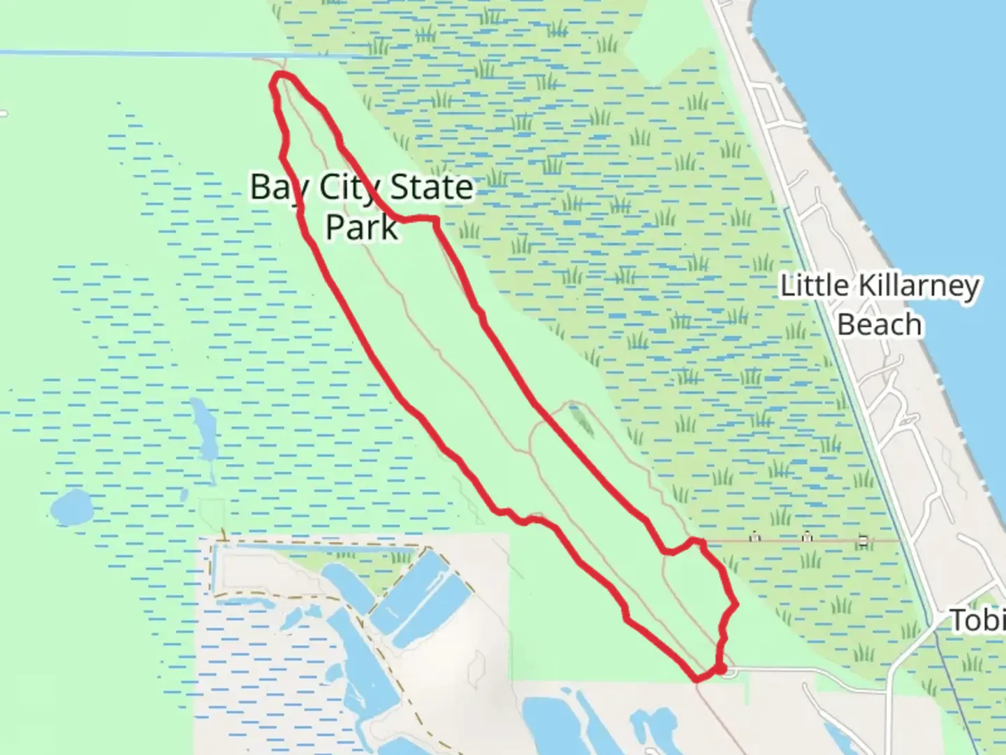 An image depicting the trail Tobico Marsh Loop and its surrounding area.