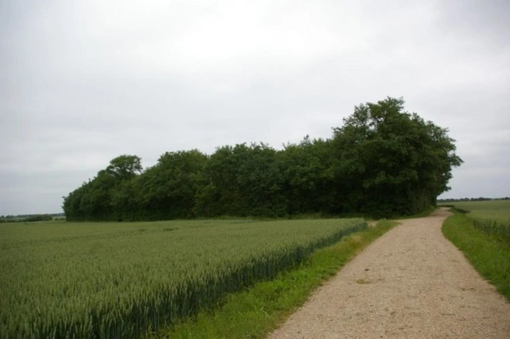An image depicting the trail Great Stukeley Loop and its surrounding area.