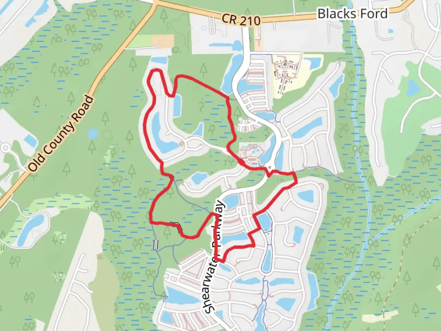 An image depicting the trail Pinewoods Trail, West Trail and North Loop Trail and its surrounding area.