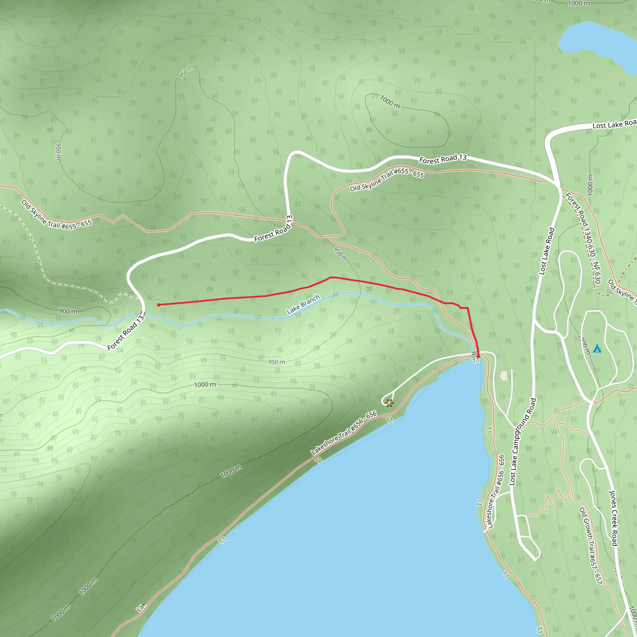 Lake Branch Cascades Trail mobile static map