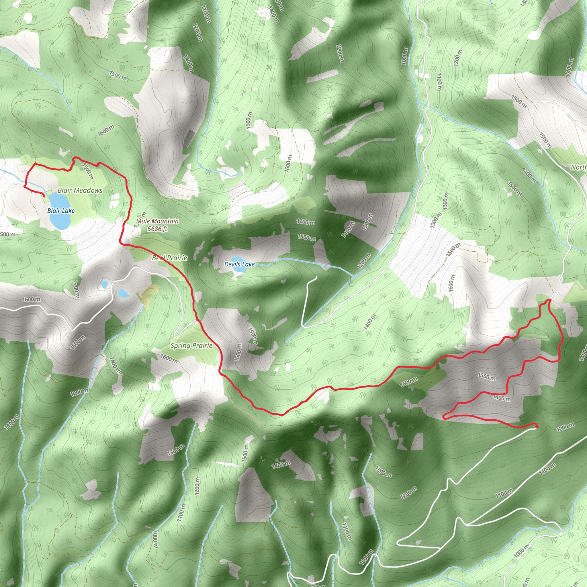 Mule Mountain via Blair Lake Trail mobile static map