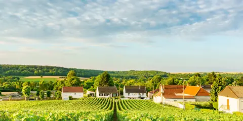 An image depicting the trail Via Francigena - France and its surrounding area.