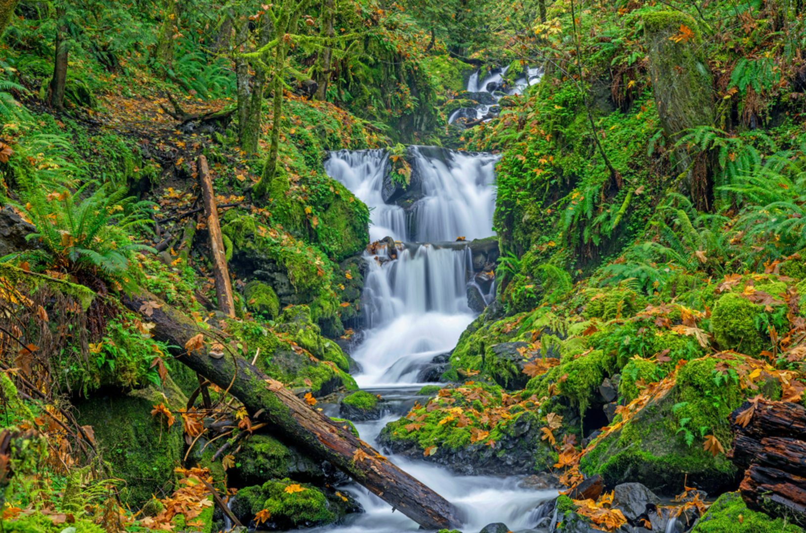 An image depicting the trail Wyeth Trail and its surrounding area.
