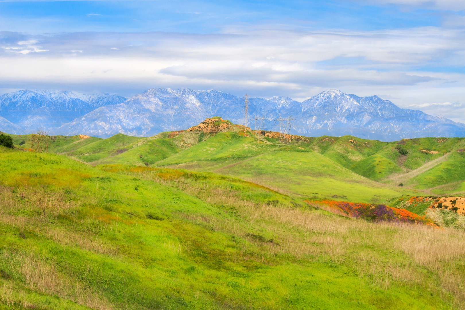 An image depicting the trail South Ridge and Telegraph Canyon Loop Trail - Blue Gum Drive and its surrounding area.