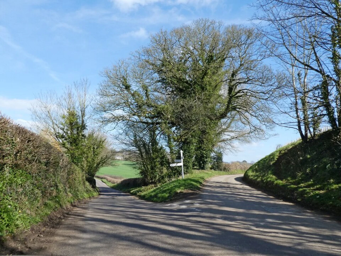 An image depicting the trail Wick Hill and its surrounding area.