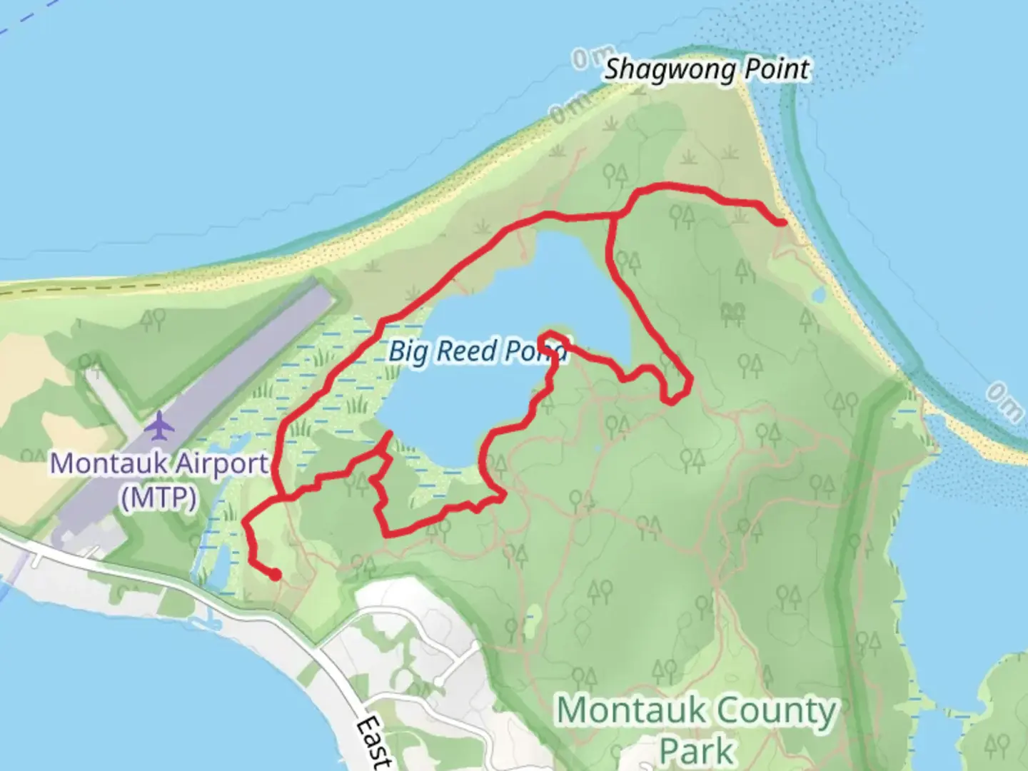 An image depicting the trail Big Reed Pond Loop and its surrounding area.