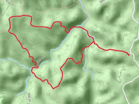 Rough and Koomer Ridge Loop Trail