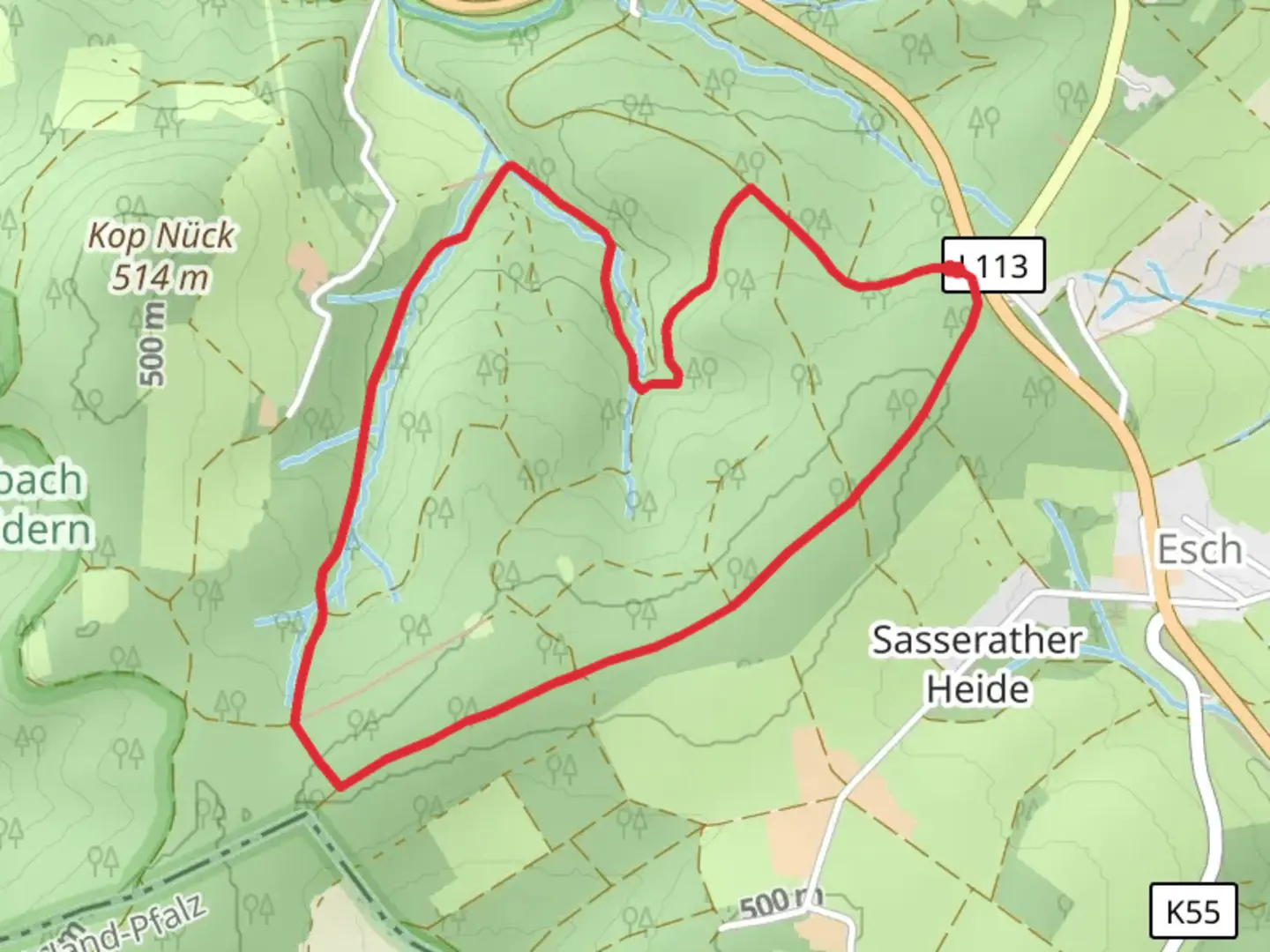 An image depicting the trail Am Kopnuck and Schonauer Wald Loop and its surrounding area.