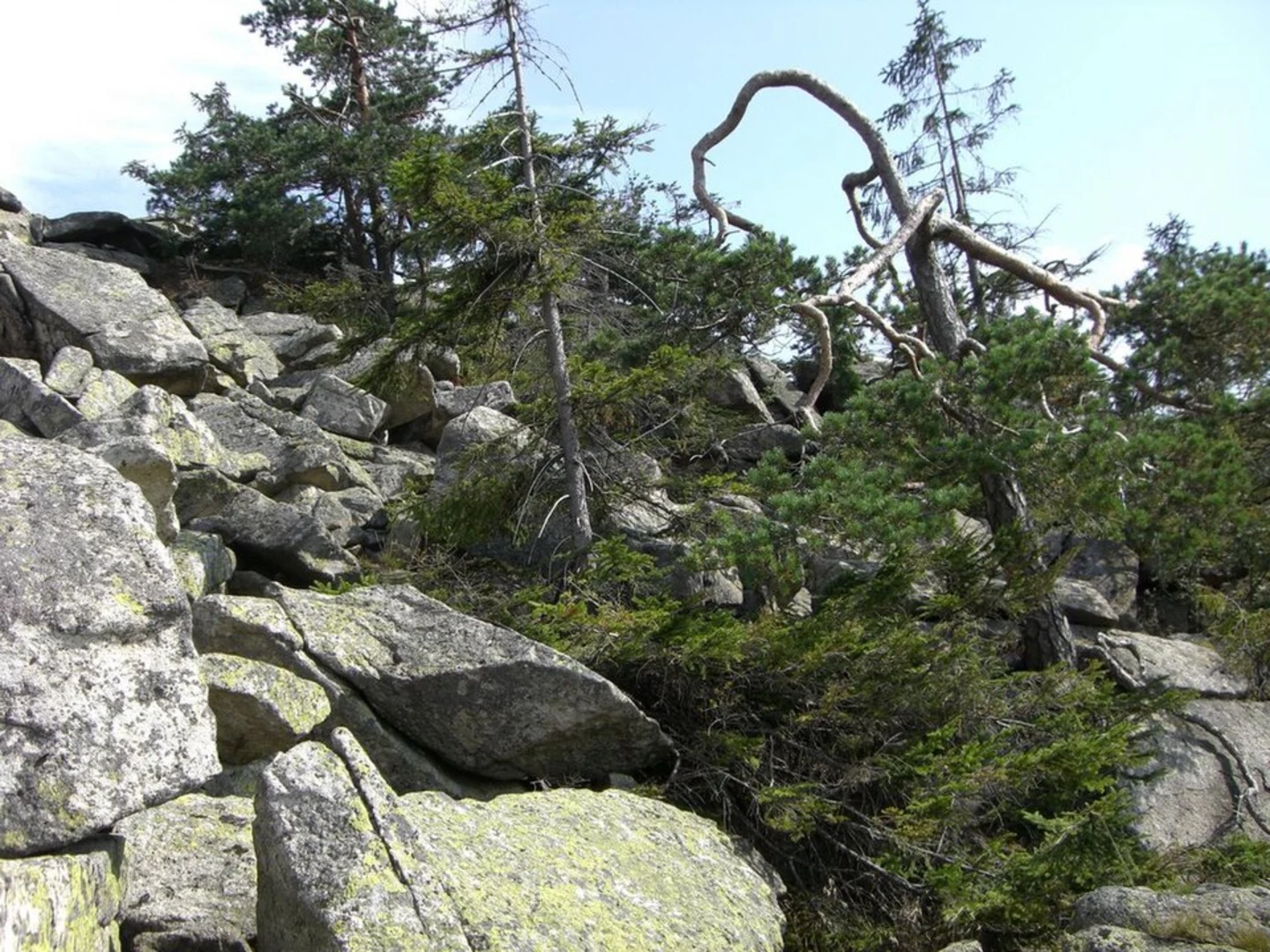 An image depicting the trail Haberstein and Kaiser-Wilhelm-Felsen via Roter Weg and its surrounding area.