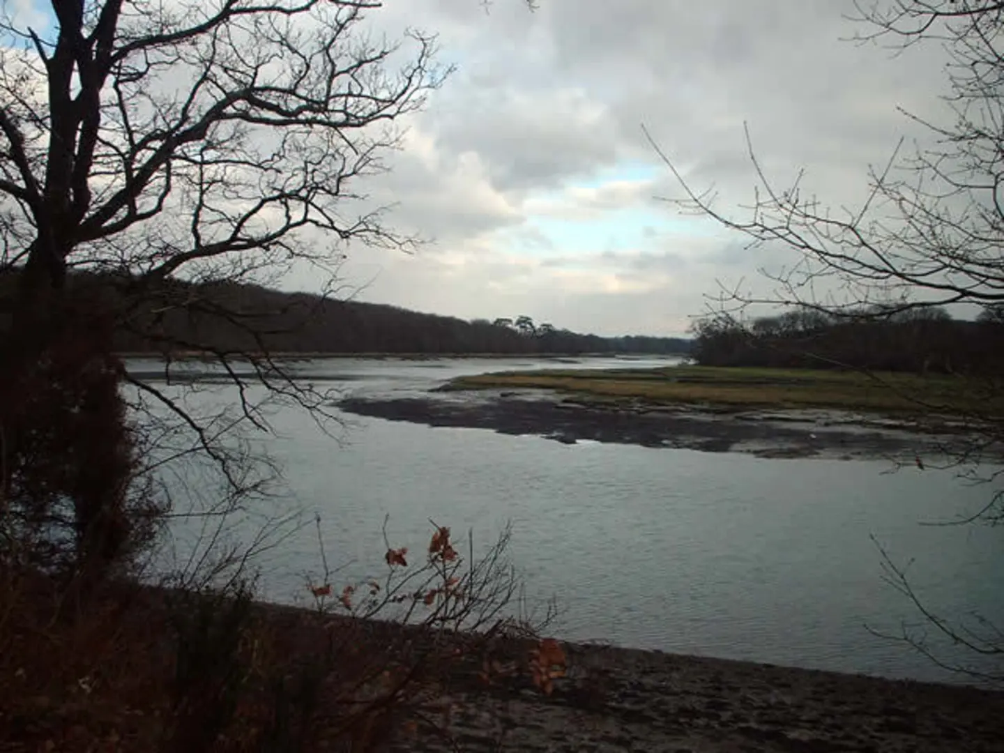 An image depicting the trail Manor Farm and Country Park Loop and its surrounding area.