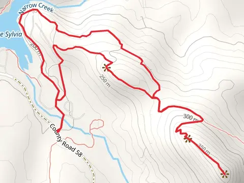 Chinquapin Mountain and Lake Sylvia Trail